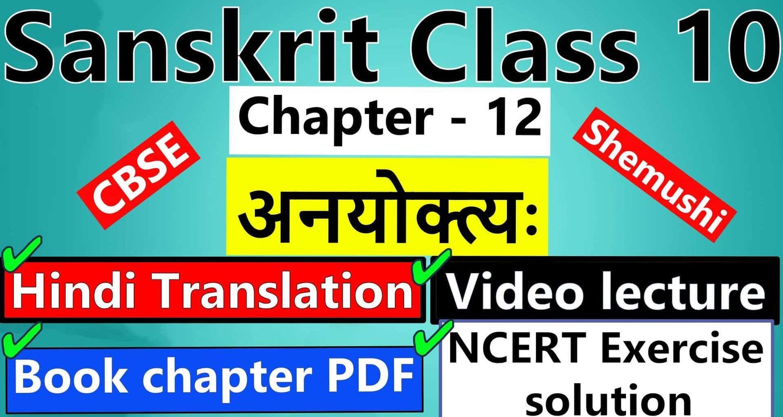 sanskrit-class-10-chapter-12-अनयोक्त्यः-Hindi-Translation-Video-lecture-NCERT-Exercise-Solution-Question-Answer-Book-chapter-PDF