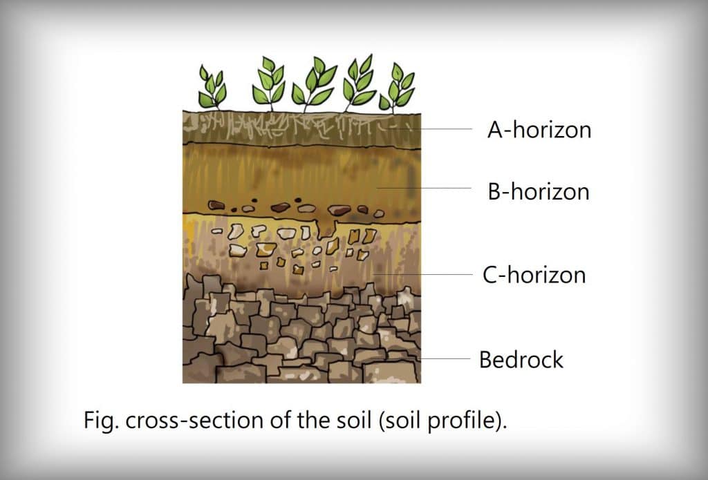 cross-section of the soil - A horizon ,B horizon, C horizon , Bedrock