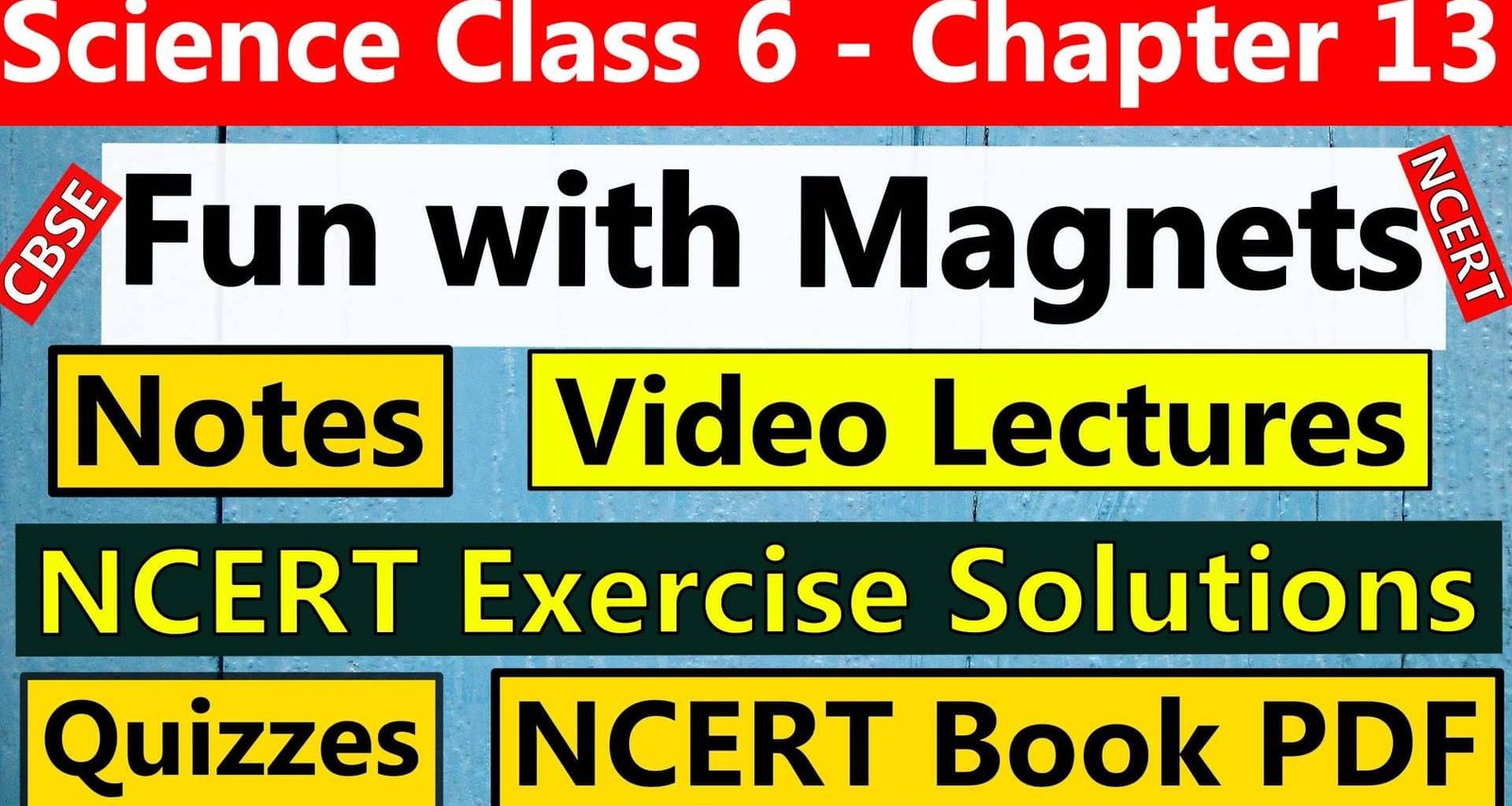 Science Class 6 Chapter 13 Fun with Magnets