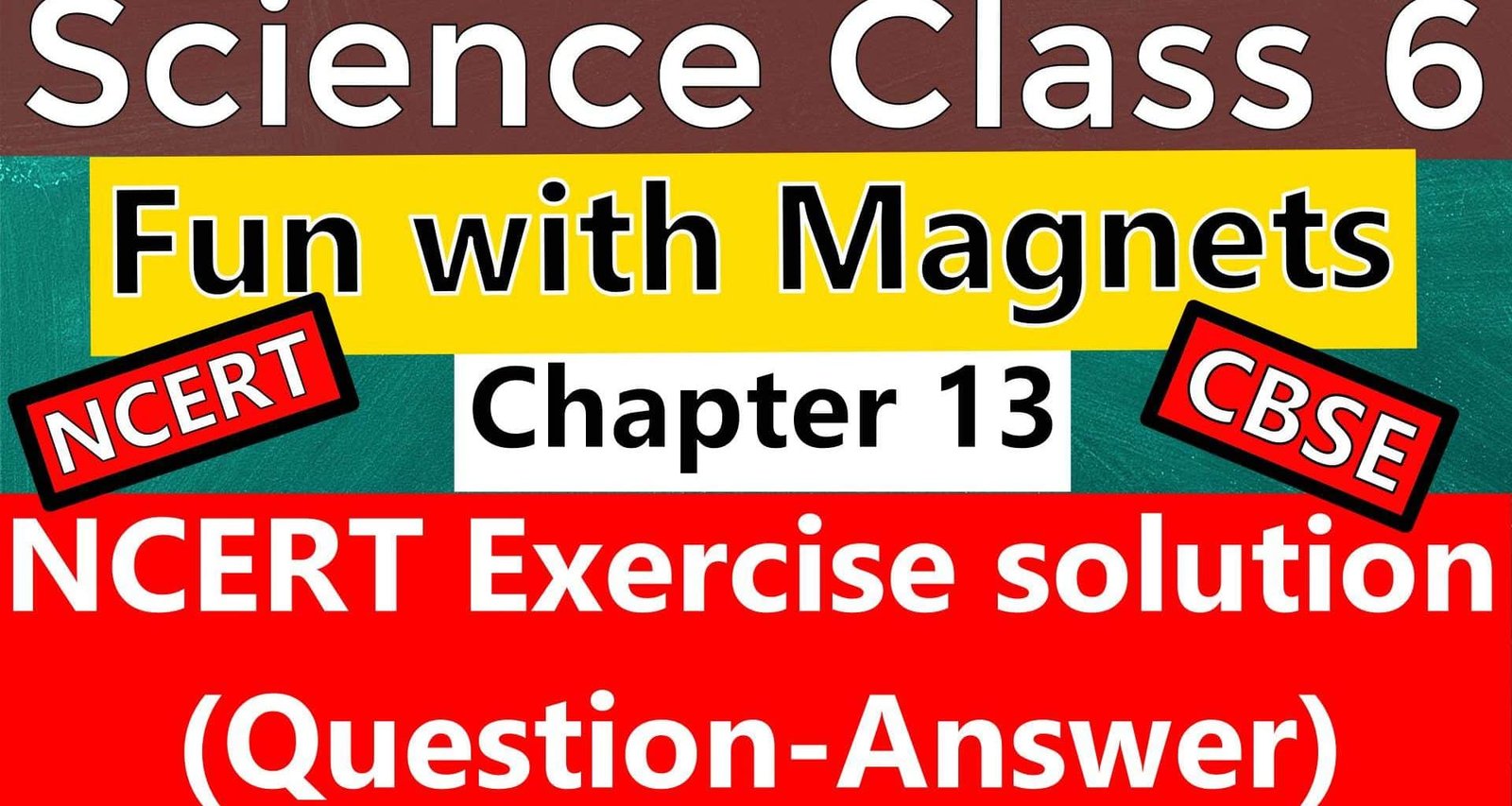 Science Class 6 Chapter 13 Fun with Magnets -NCERT Exercise Solutions (Question-Answer)