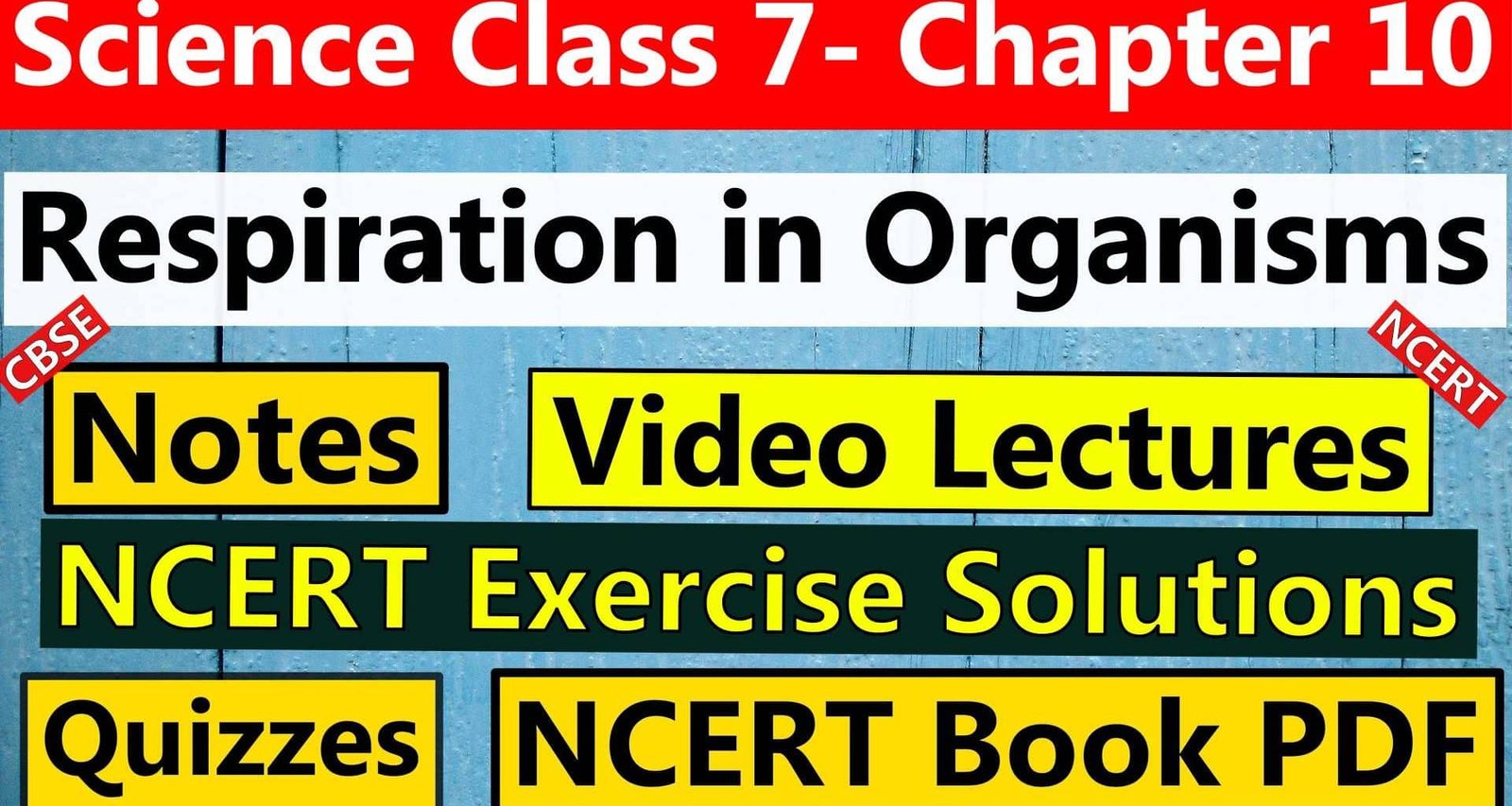 Science Class 7 Chapter 10 Respiration in Organisms