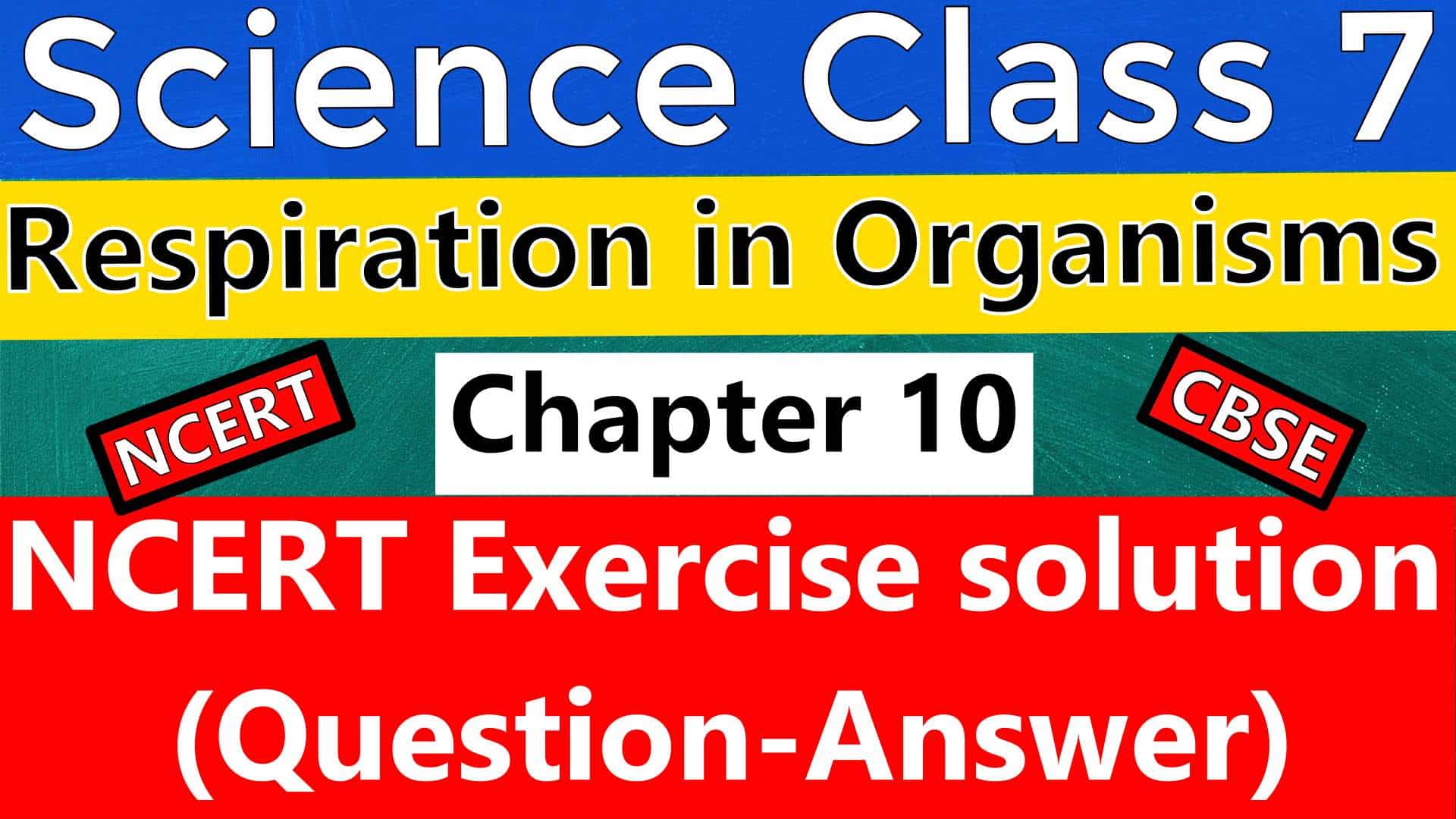 Science Class 7 Chapter 10 Respiration in Organisms - NCERT Exercise Solution (Question-Answer)