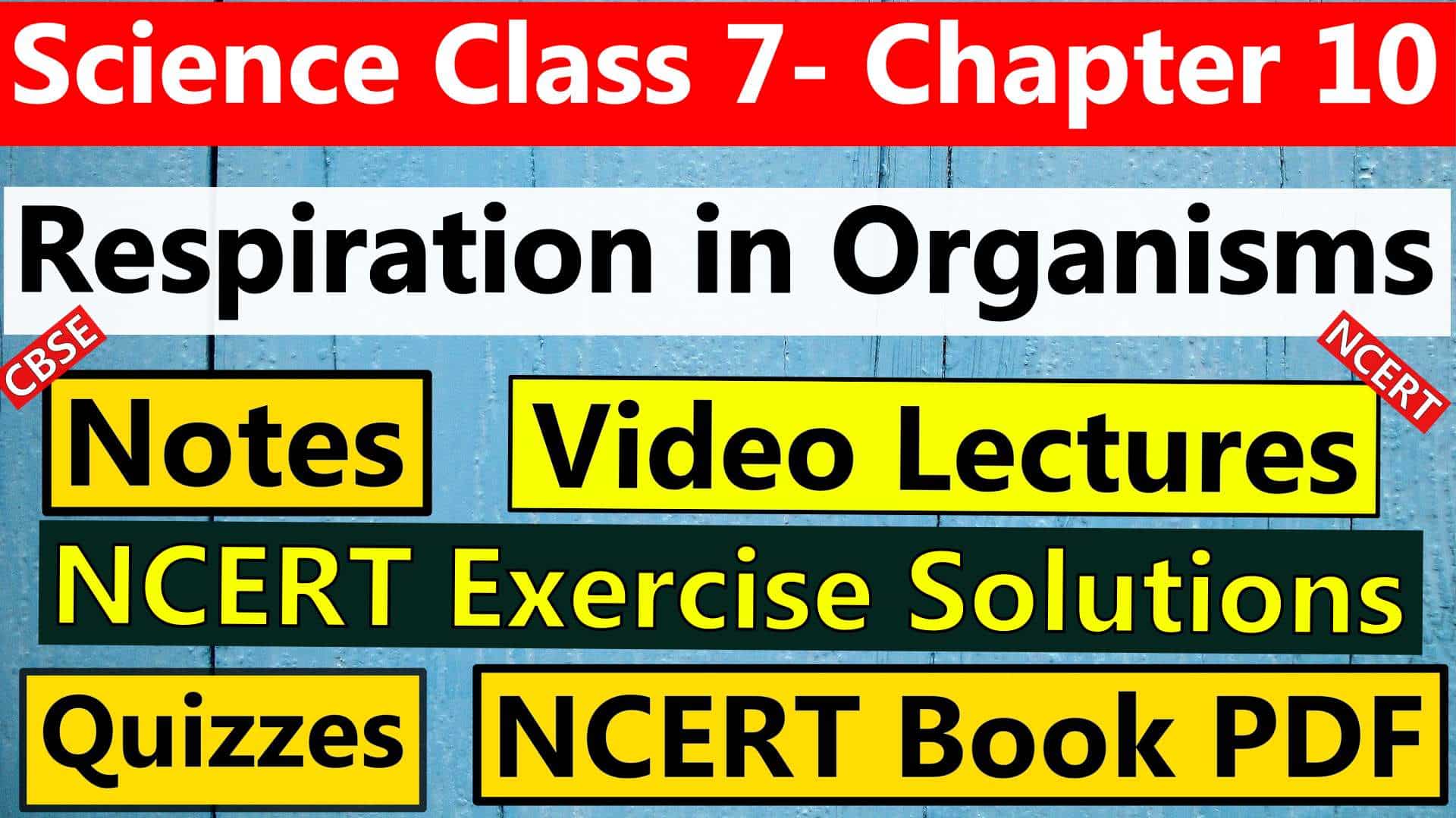 Science Class 7 Chapter 10 Respiration in Organisms