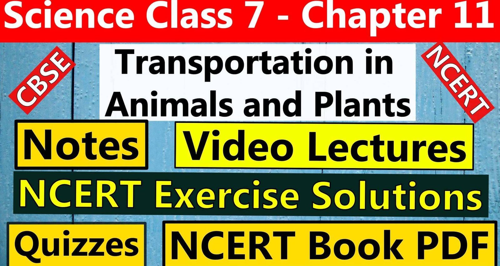 Science Class 7- Chapter 11- Transportation in Animals and Plants