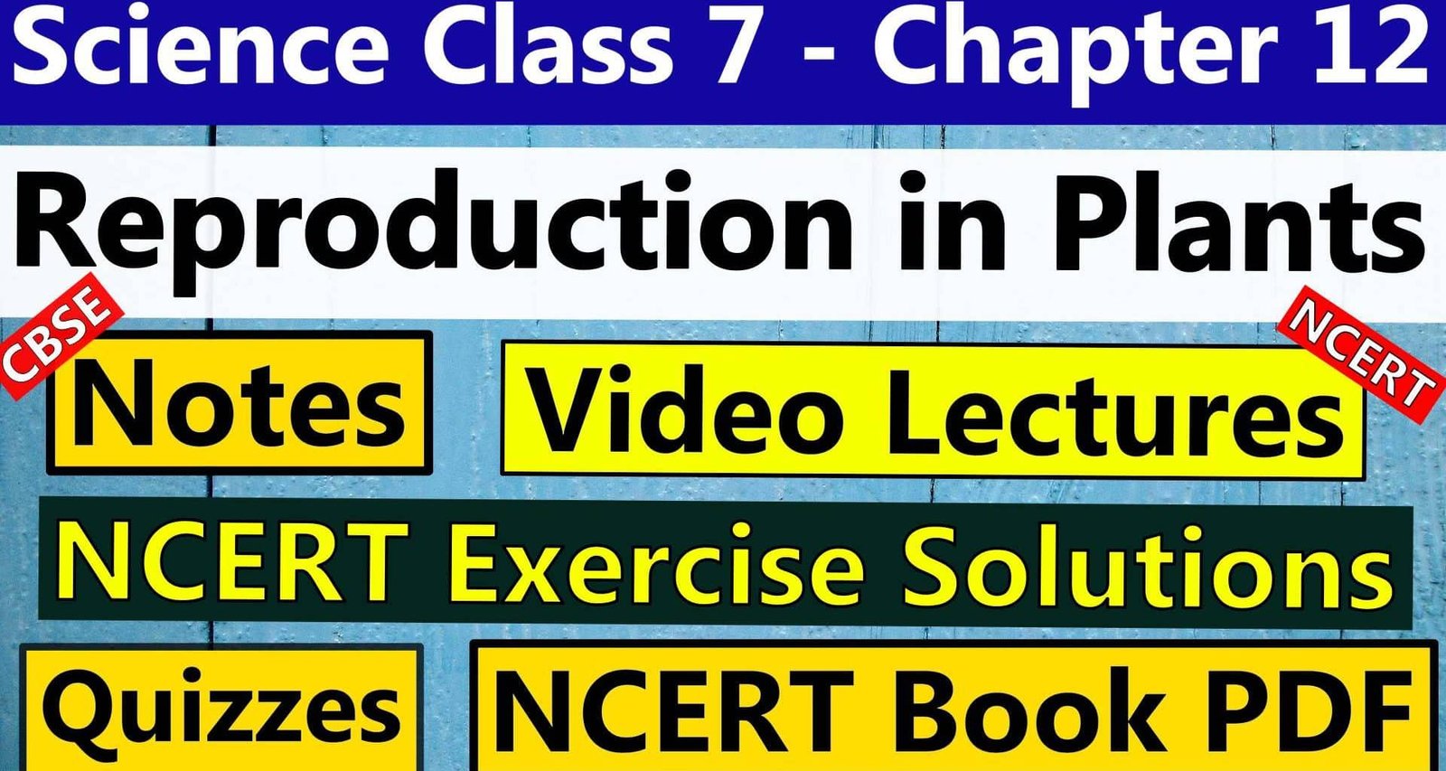 Science Class 7 Chapter 12 Reproduction in Plants
