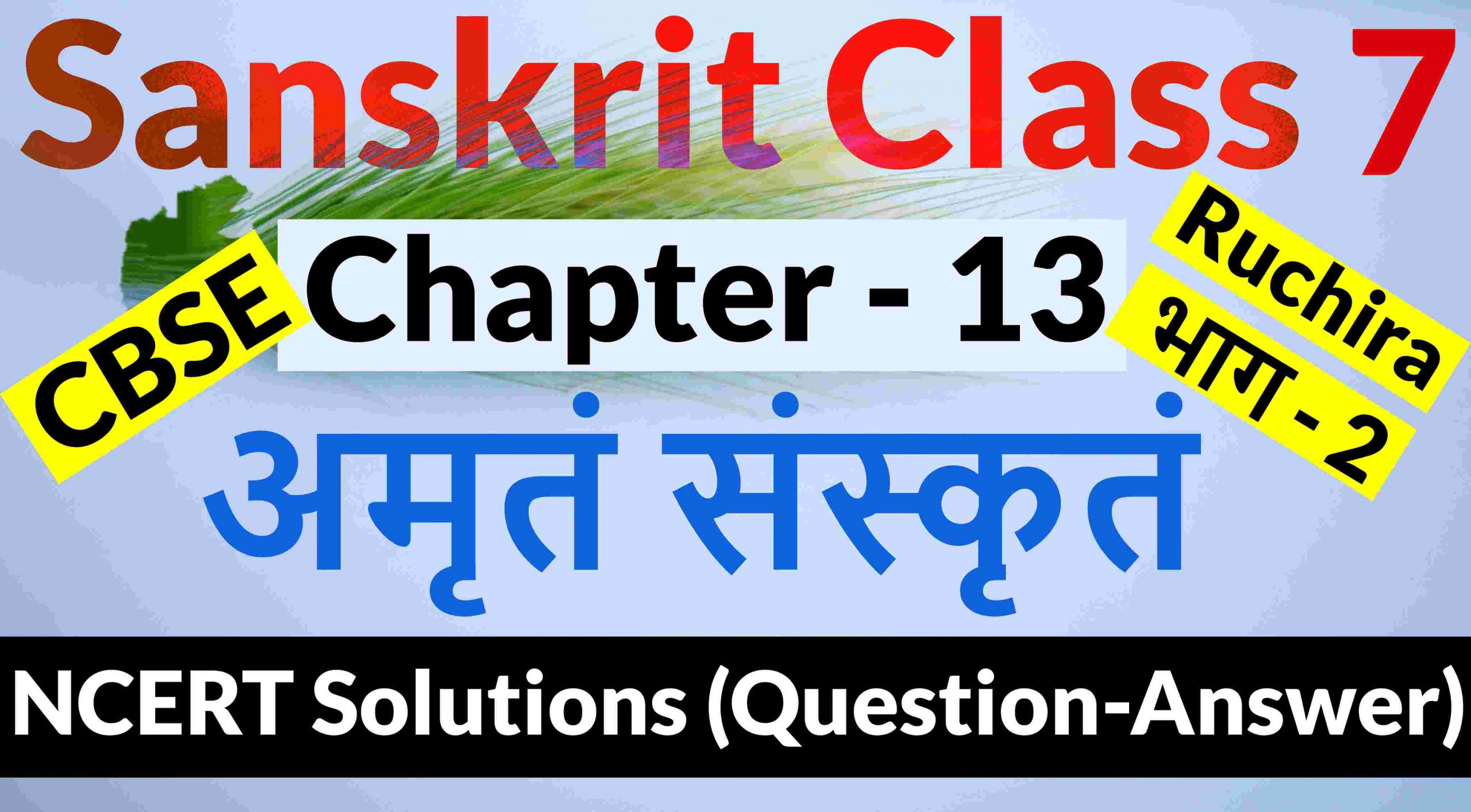NCERT Solutions for Class 7 Sanskrit Chapter 13-अमृतं संस्कृतं