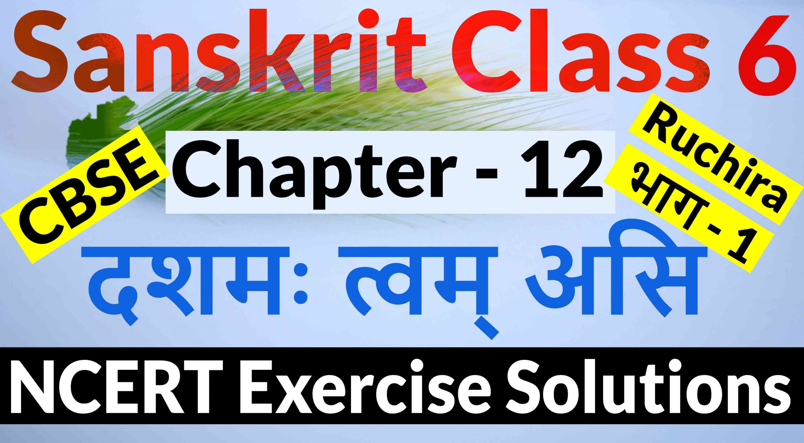 NCERT Solutions for Class 6 Sanskrit Chapter 12-दशमः त्वम् असि