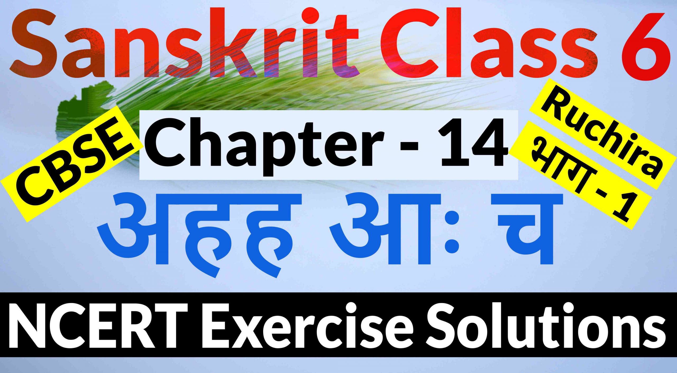 NCERT Solutions for Class 6 Sanskrit Chapter 14-अहह आः च