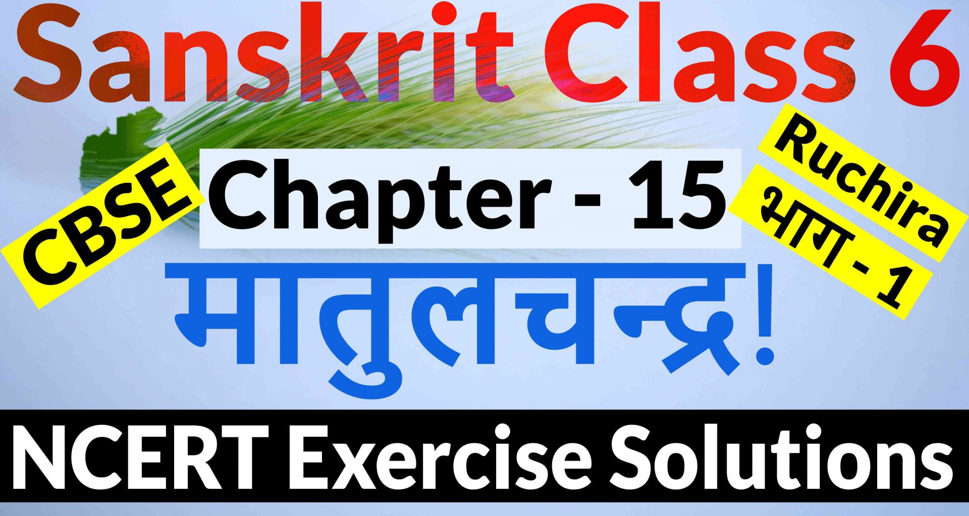 NCERT Solutions for Class 6 Sanskrit Chapter 15-मातुलचन्द्र!