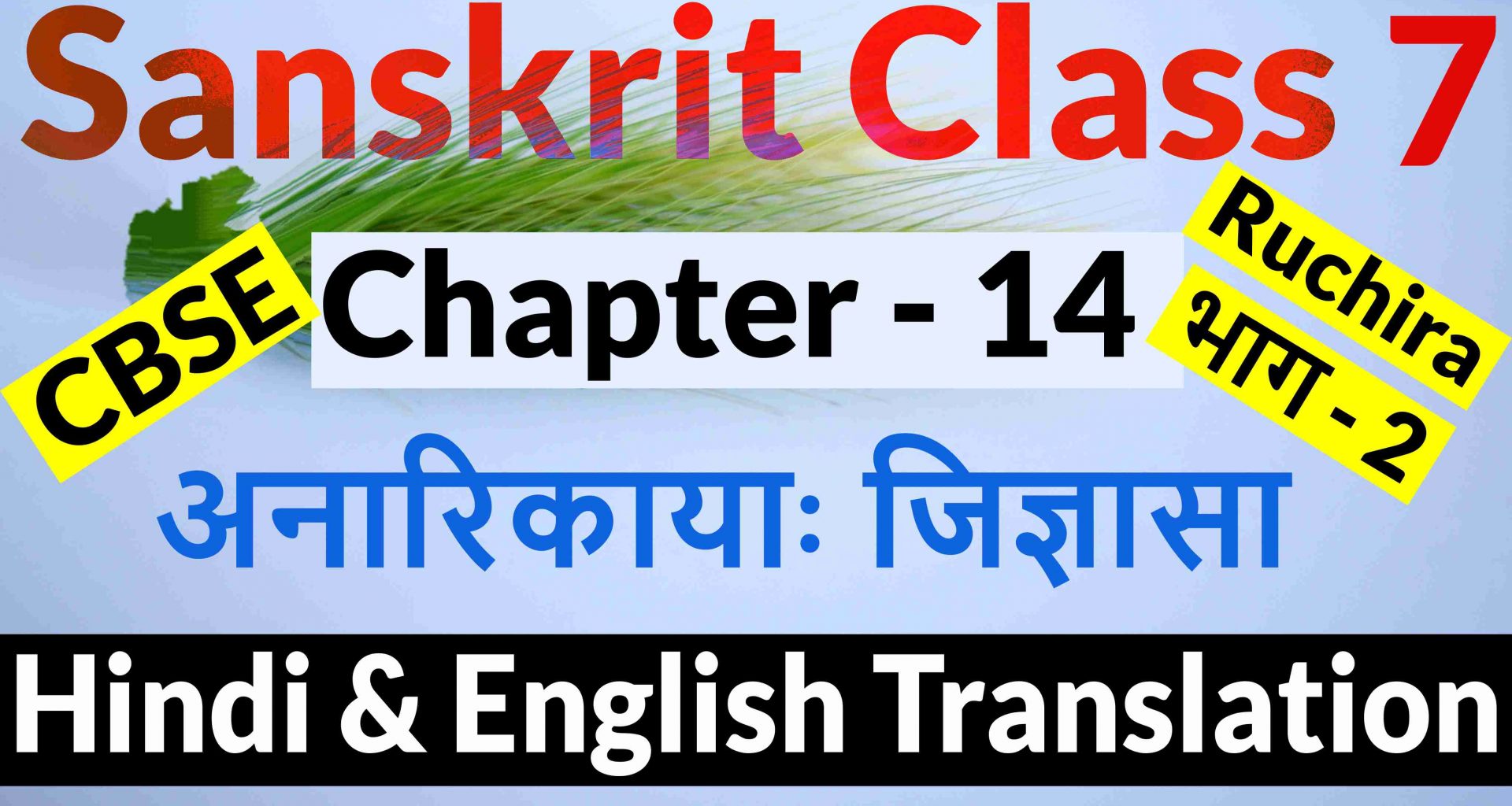 Class 7 Sanskrit Chapter 14-अनारिकायाः जिज्ञासा- Hindi Translation & English Translation